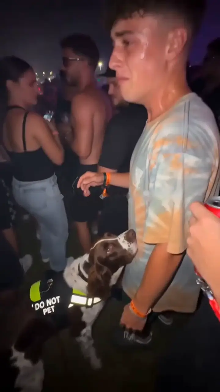 Caught by the Sniffer Dog AI video example